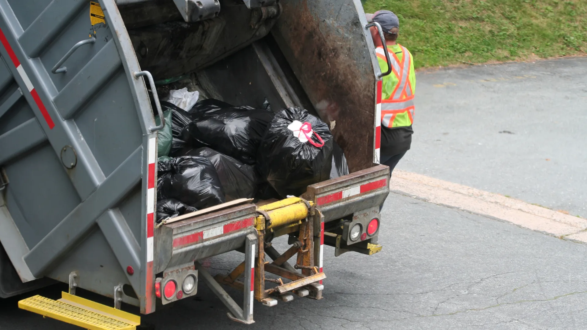 Pasadena Trash Pick Up 3